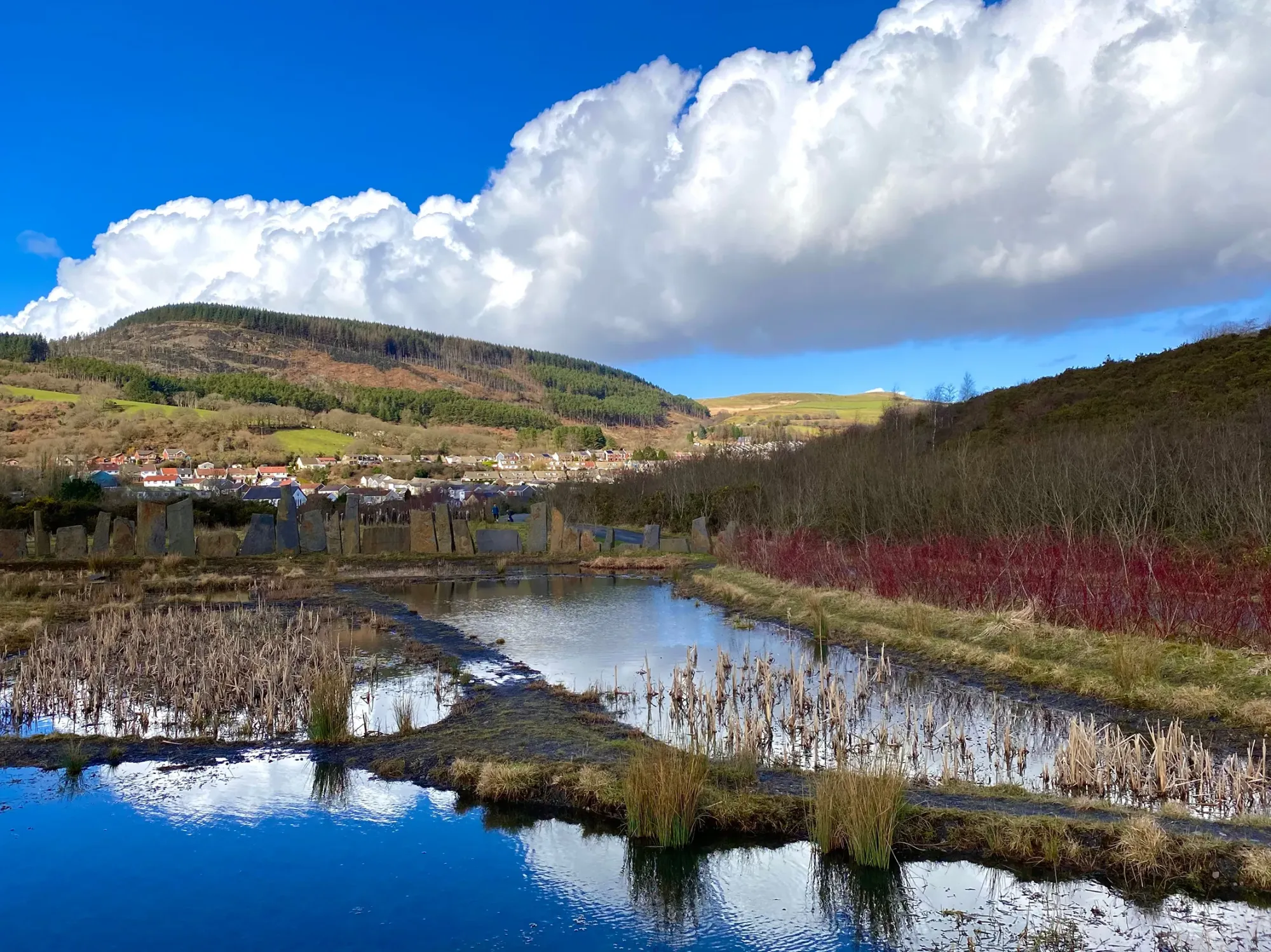 bridgend citizens advice 058