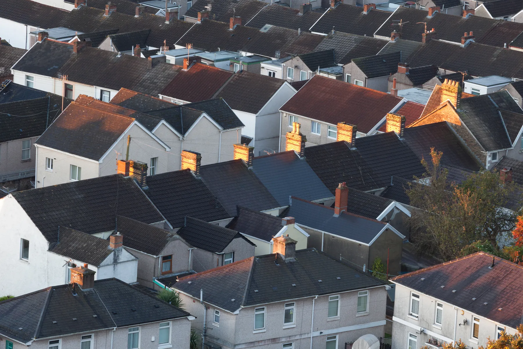 bridgend citizens advice 059