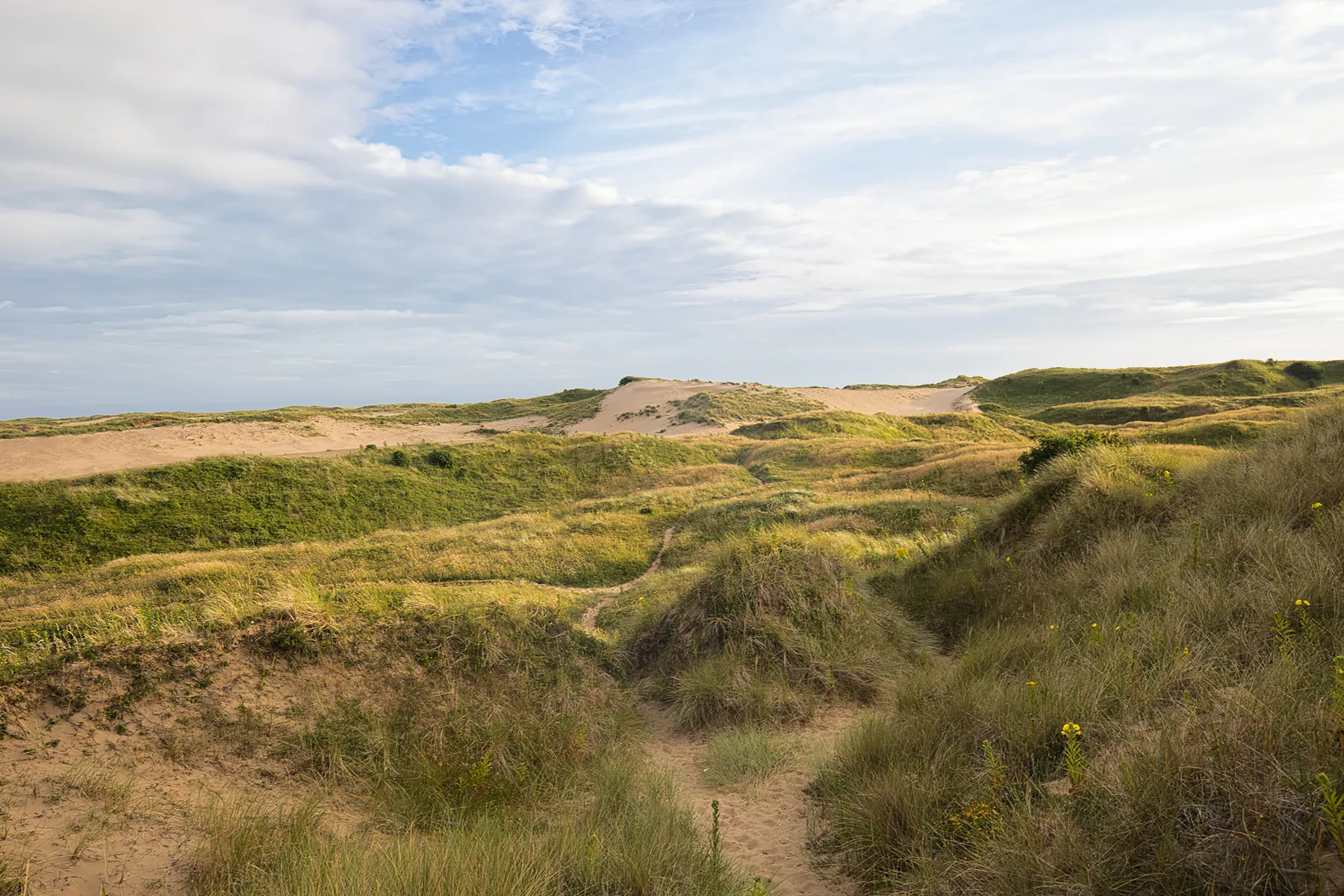 bridgend citizens advice 060